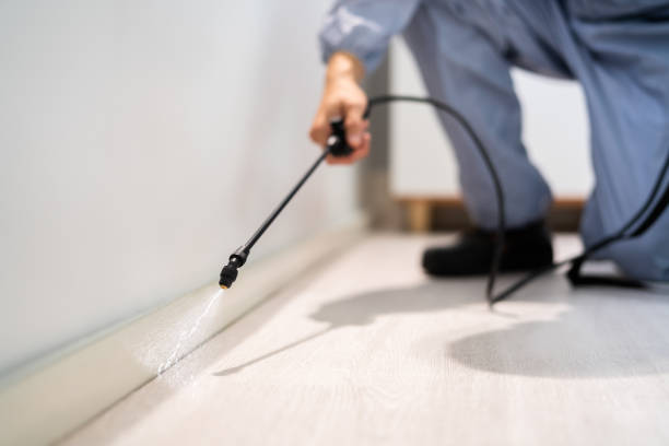 Licensed Termite Control service in Edna, TX - Nex Pest Control