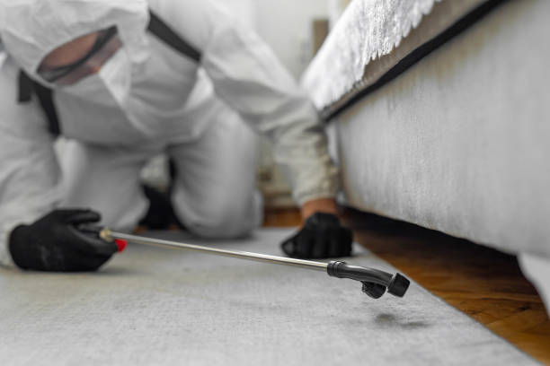 Professional Termite Control technician working in Edna, TX