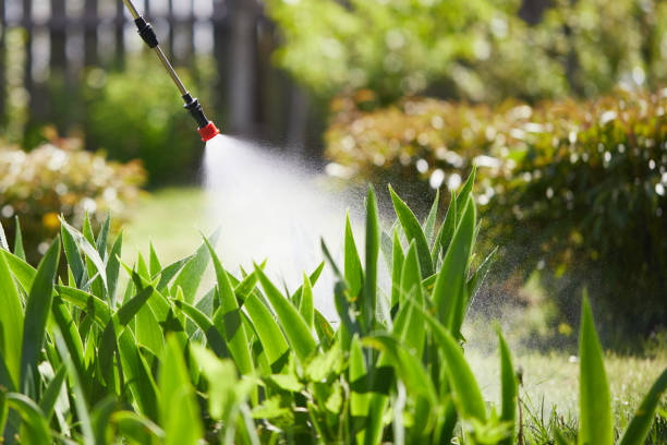 24/7 Emergency Termite Control experts in Edna, TX