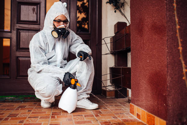 Reliable Termite Control contractor in Edna, TX by Nex Pest Control